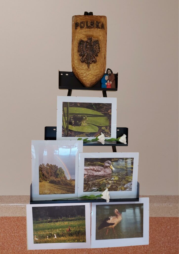 Kurpiowska Organizacja Turystyczna