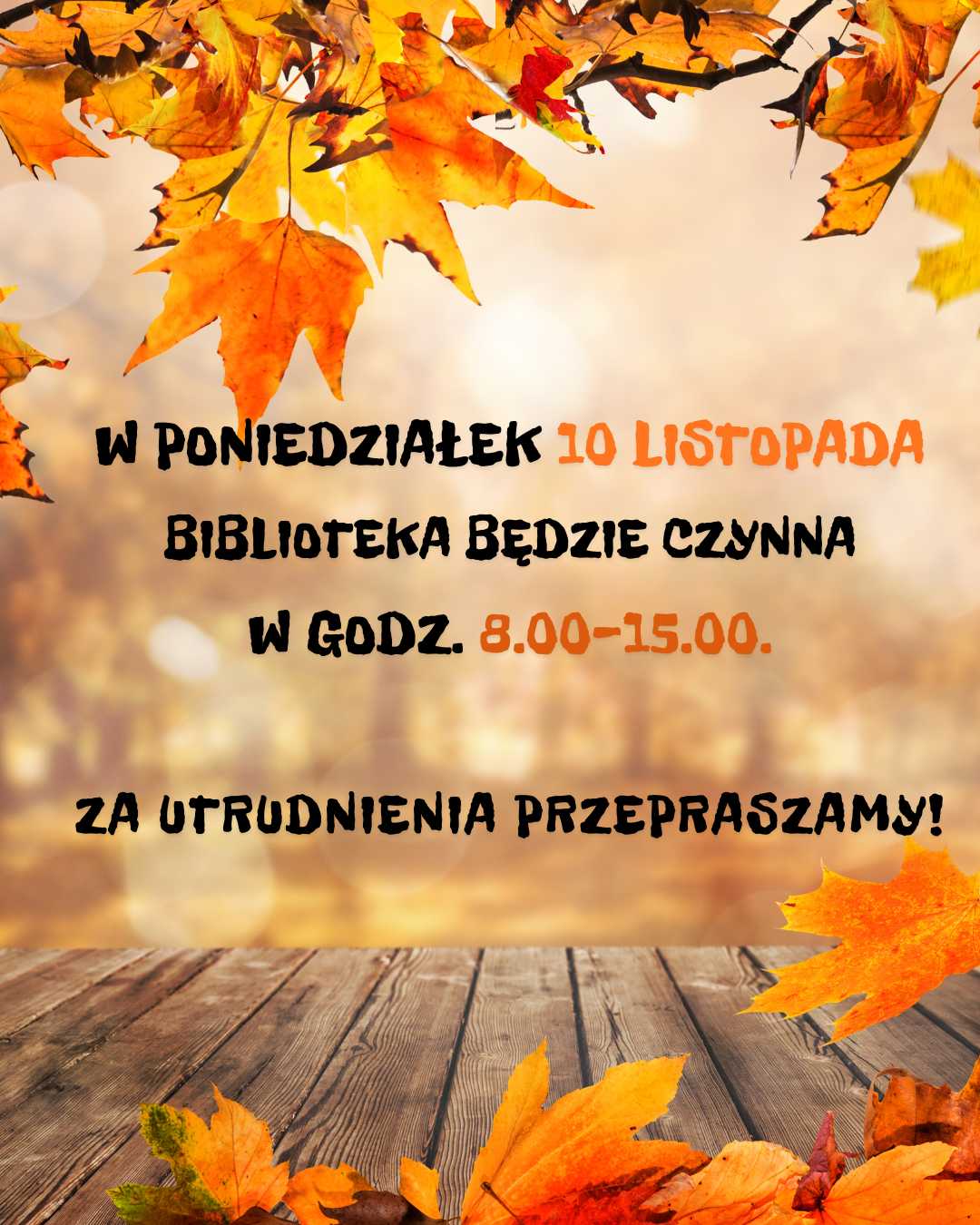 10 LISTOPADA BIBLIOTEKA CZYNNA OD 8:00 DO 15:00