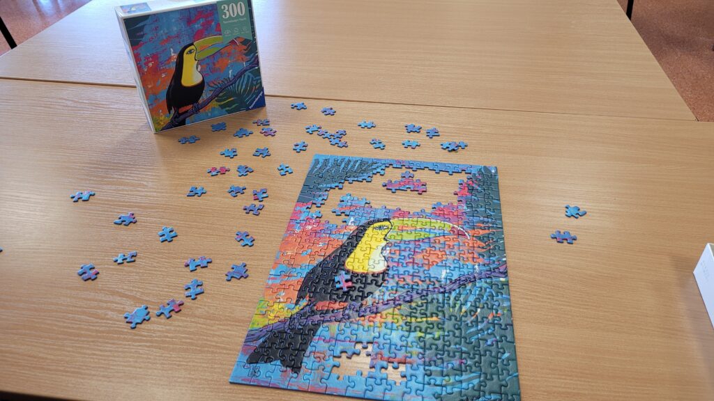 Zajęcia w bibliotece