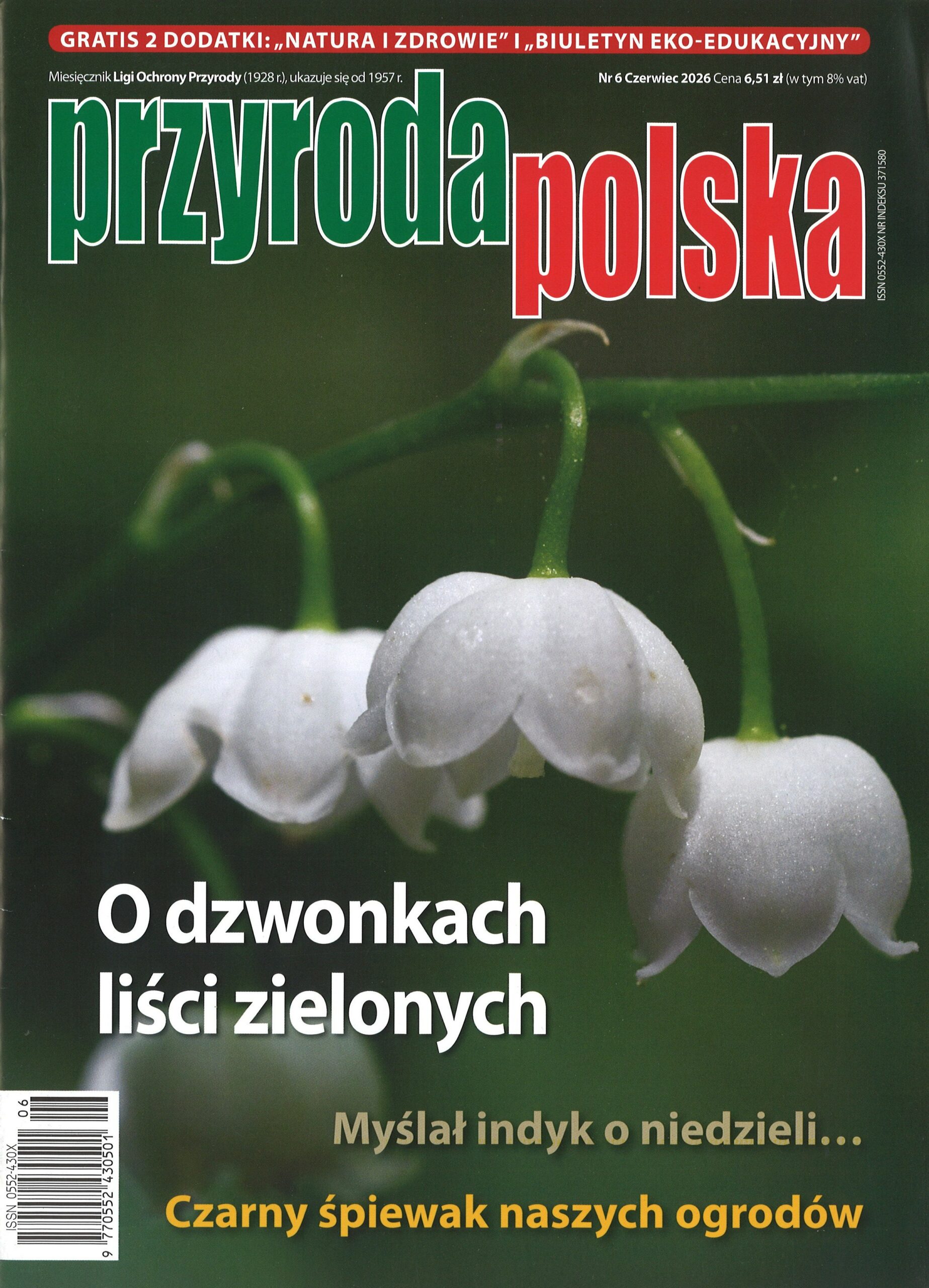 Przyroda Polska